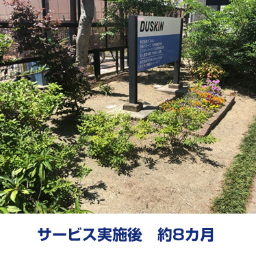katazuke