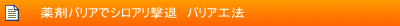 ܃oAŃVAށ@oAH@