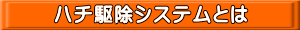 n`쏜VXeƂ́H